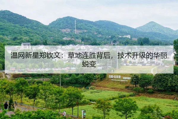 wen-wang-xin-xing-zheng-qin-wen-cao-di-lian-sheng-bei-hou-ji-shu-sheng-ji-de-hua-li-tui-bian-2-676.jpg