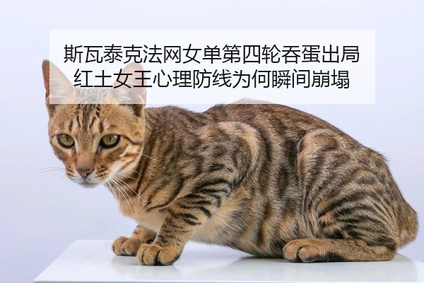 斯瓦泰克法网女单第四轮吞蛋出局 红土女王心理防线为何瞬间崩塌