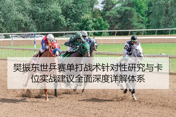 樊振东世乒赛单打战术针对性研究与卡位实战建议全面深度详解体系